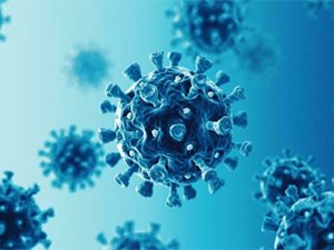 SARS-CoV-2: новий аспект альвеолярної клітинної відповіді