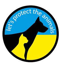 Left in apartments: how volunteers in Kyiv save animals from death